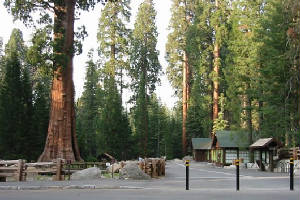sequoia_ranger.jpg