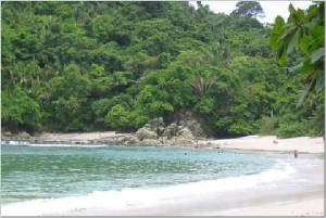 playamanuelantonio.jpg