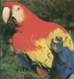bird_01.jpg